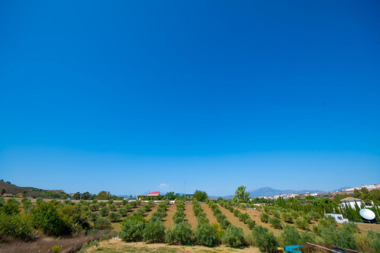 Cubo'S Finca Mis Seis Soles Coín Εξωτερικό φωτογραφία